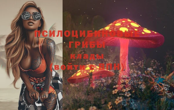 гашик Алзамай