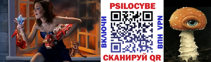 Галлюциногенные грибы Psilocybine cubensis  хочу   Апрелевка 